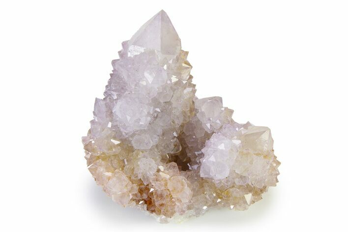 Lustrous Cactus Quartz Crystal Cluster - South Africa #336765